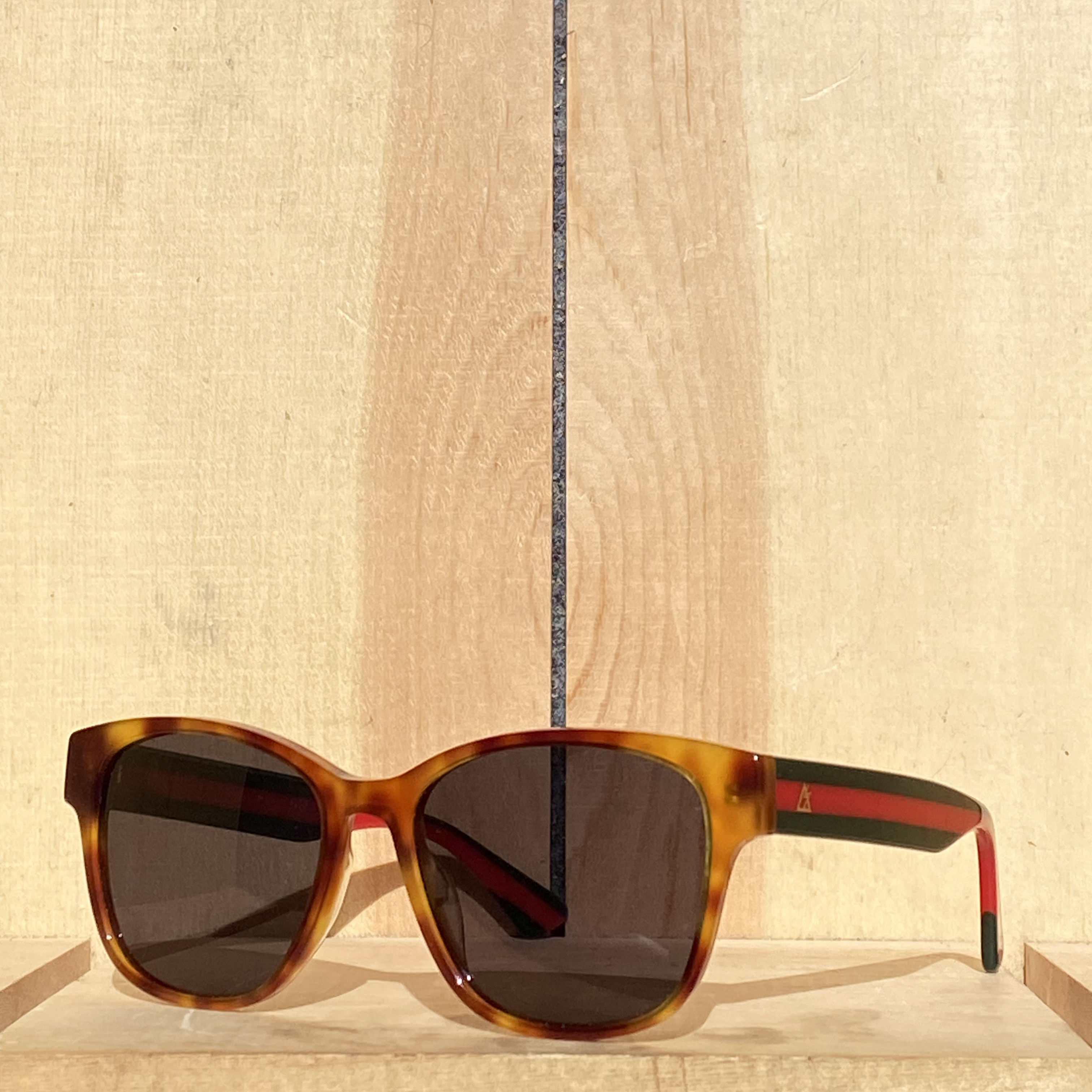 Tortoise with fucci arms